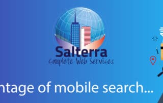 Salterra-20-mobile-search